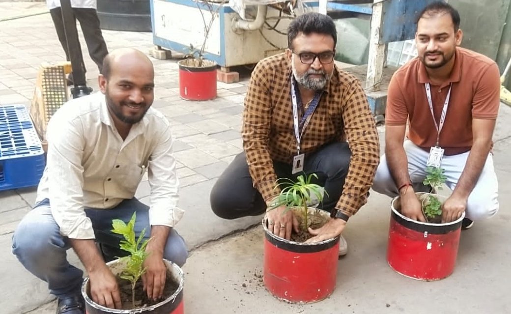 PCT environmental plantation activity